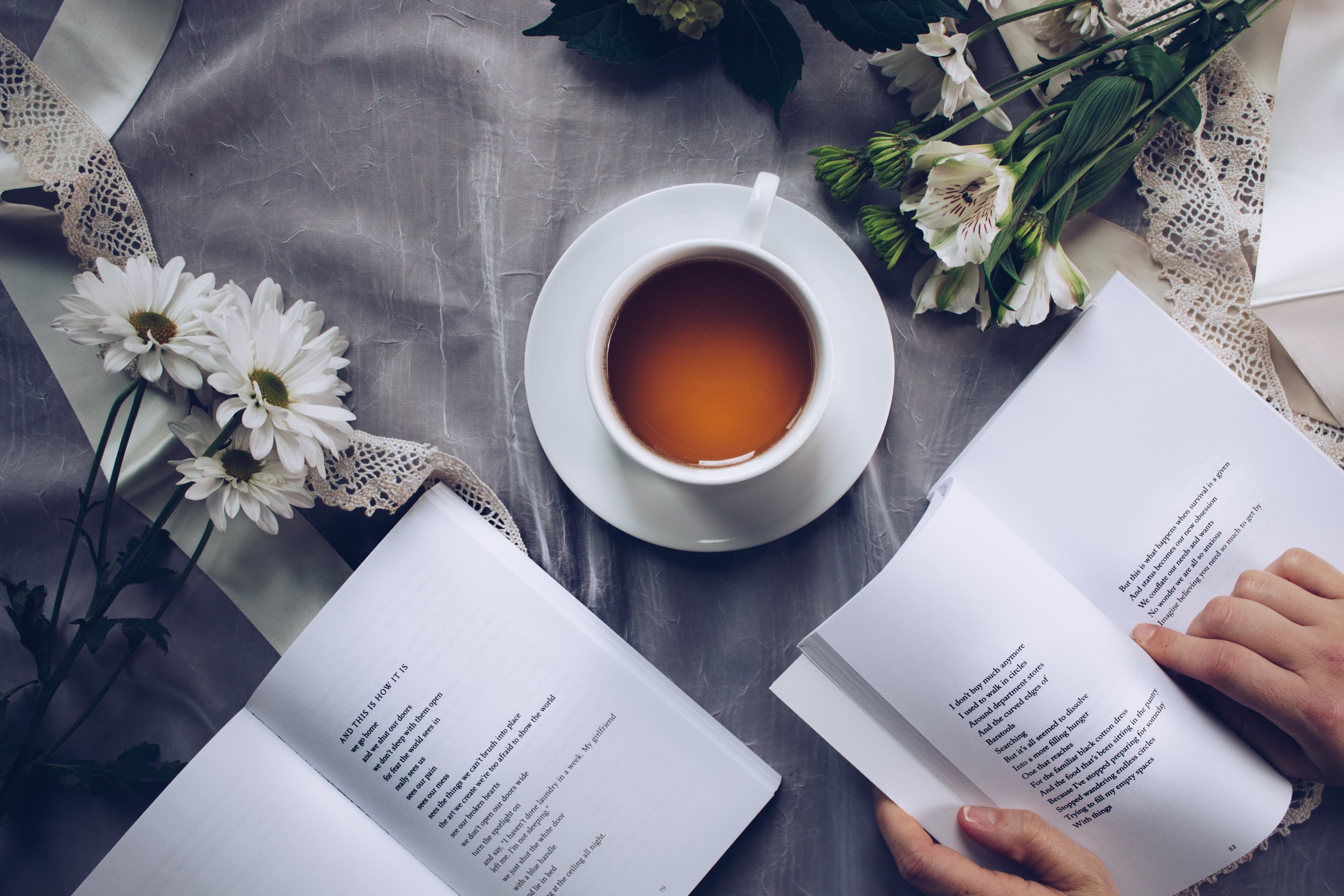 Top Book Picks of 2022